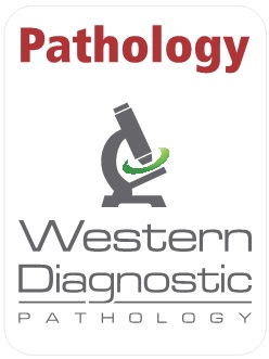 pathology